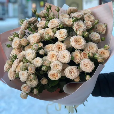 Кремовые кустовые розы шт. купить с доставкой по Краснодару
