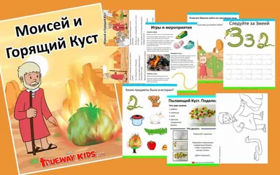 Графические диктанты. Растения для детей 4 - 6 лет. Сыропятова Г.А. купить  оптом в Екатеринбурге от 16 руб. Люмна