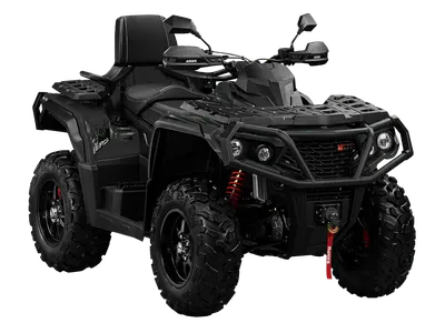 Купить Квадроцикл AODES 650 ATV DS двухместный по выгодной цене | RM  Русская Механика