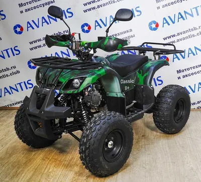 Квадроцикл Promax Raptor 320 Monster купить по низкой цене от производителя