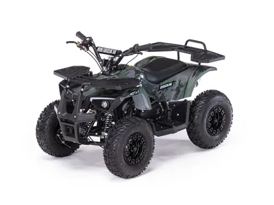 Квадроцикл STELS ATV GUEPARD 850 PE (TROPHY PRO) 2.0 купить выгодно