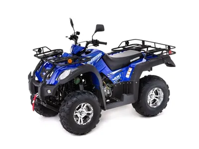 Квадроцикл Motax ATV Raptor Super LUX 125 - купить по цене - 107490 руб от  производителя | Интернет-магазин СнегоТехника в Челябинске