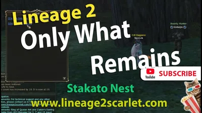 Локация Stakato Nest (Гнездо Стакато) — База знаний Lineage 2