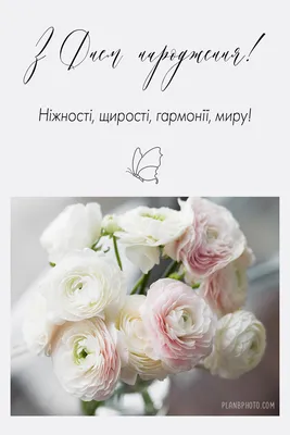 Купить С Днём рождения! Киев | UFL