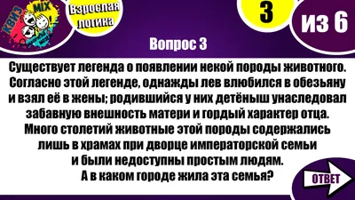 КВИЗ: Чисто на логику #21.☄️ Взрослые вопросы на сообразительность и  эрудицию💥 | КвизMix Тесты и вопросы на логику | Дзен