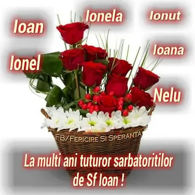 Happy Birthday in Romanian - La mulţi ani" Magnet for Sale by Lingalot |  Redbubble