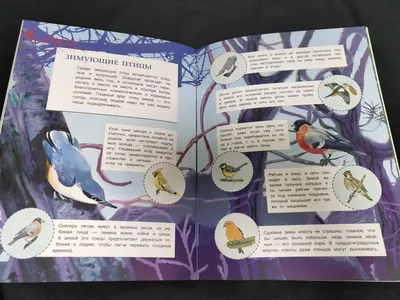 Иллюстрация 1 из 8 для Мои блестящие книжки. Птицы | Лабиринт - книги.  Источник: Лабиринт
