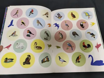 Иллюстрация 2 из 10 для Красивые птицы в технике модульного оригами - Анна  Зайцева | Лабиринт - книги.
