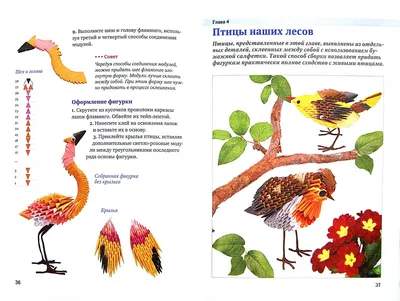 Иллюстрация 13 из 21 для Птицы | Лабиринт - книги. Источник: dbyyb