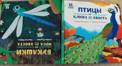 Иллюстрация 15 из 32 для Чудо своими руками. Волшебные птицы | Лабиринт -  книги. Источник: Лабиринт