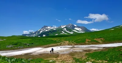 Плато ЛагоНаки (Лаго-Наки) Адыгея Цены, Контакты, Фото, Видео, описание,  экскурсии на плато ЛагоНаки заповедник как добраться | Отдых плато ЛагоНаки  - цены гостиницы база отдыха в ЛагоНаках Краснодарский край | официальный  сайт