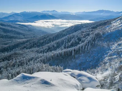 Альпийские луга плато Лагонаки. Фотограф Мариночка