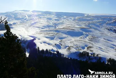 Всесезонный горный экокурорт Лагонаки и его границы на плато - Лагонаки.ру