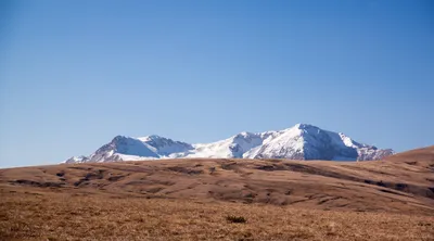 Кордон Лаго-Наки Кавказского заповедника, Адыгея