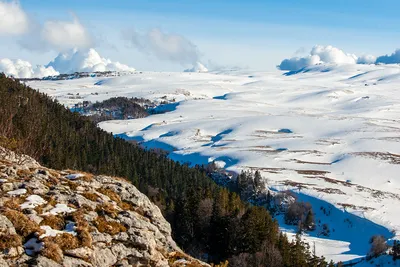 Плато Лагонаки Лагонакское нагорье, гостиницы - Лагонаки.ру