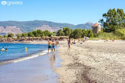 Kos Lambi Mylos beach: Photos, Map | Greeka