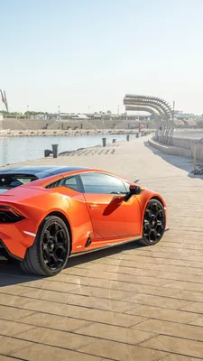 Lamborghini's Aventador successor to be powered by a V12-hybrid engine |  Autocar India