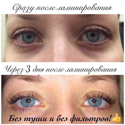 Ламинирование ресниц — статьи All Lashes