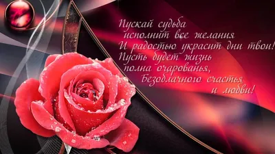 С днём рождения,Красавица!🌹🌹🌹 #поздравление #сднемрождения #девушке... |  TikTok