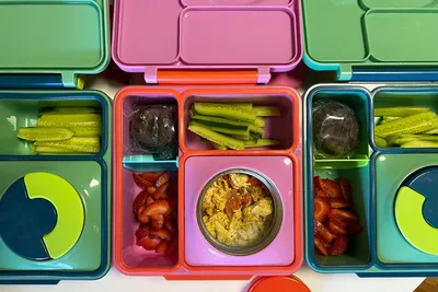 The 5 Best Lunch Boxes of 2024 | GearLab