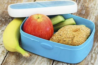 The 5 Best Lunch Boxes of 2024 | GearLab