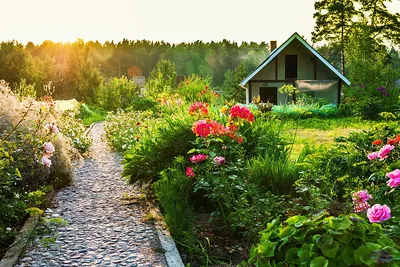 Ландшафтный дизайн дачного участка