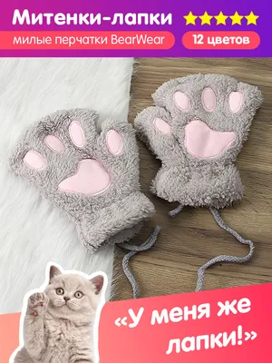 Перчатки без пальцев лапы кошки, митенки кошачьи лапки, рукавицы без  пальцев лапы котика медведя (ID#1601601266), цена: 349 ₴, купить на 
