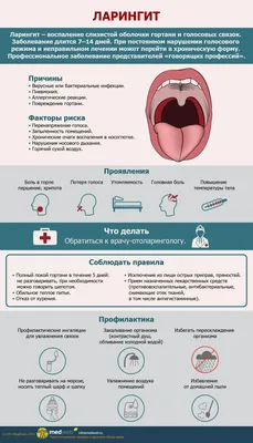 Ларингит — отличия от других заболеваний горла, методы лечения: лечение у  взрослых в домашних условиях