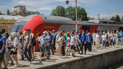 Куда подевались ласточки: отвечаем на письма юных читателей - «Экология  России»