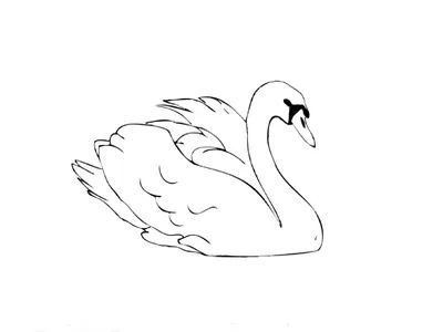Лебедь рисунок карандашом для детей - 70 фото