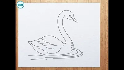 Картинки фламинго для срисовки | Flamingo art, Wall art canvas painting,  Flamingo painting