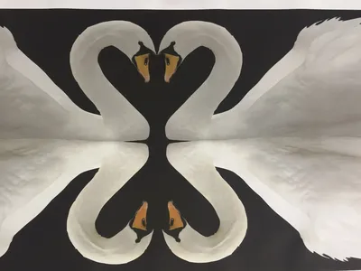 Современный Лебедь сердце Лебеди любовь холст живопись животных стена  фотообои для гостиной спальни домашний Декор без рамки | AliExpress