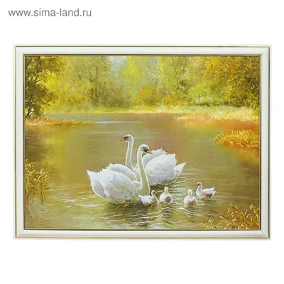 Картина "Лебеди на пруду" 30х40 см (2011385) - Купить по цене от   руб. | Интернет магазин 