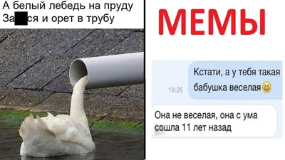 А белый лебедь на пруду... | Пикабу