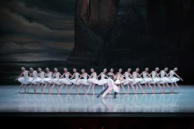 Чайковский. Балет «Лебединое озеро» (Swan Lake) | 