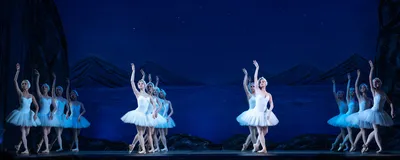 Купить билет на балет Лебединое Озеро в Нижнем Новгороде на сайте 