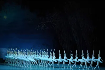 Лебединое озеро | Пермский театр оперы и балета