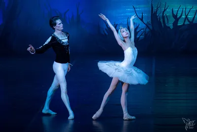 Чайковский. Балет «Лебединое озеро» (Swan Lake) | 