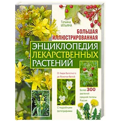 Книга Определитель. 500 важнейших лечебных растений России. - купить  спорта, красоты и здоровья в интернет-магазинах, цены на Мегамаркет | KN3