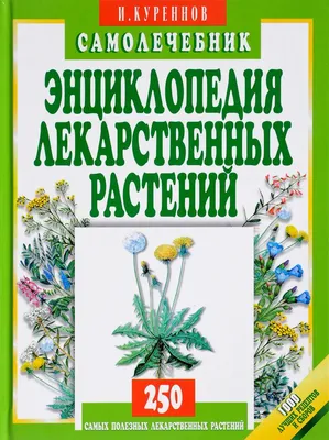 На Западе это растение не признавали, а в России в XIX веке собирали в 29  губерниях, считая, что оно одно из лучших лекарственных растений | УЧЕНЫЙ  АГРОНОМ | Дзен