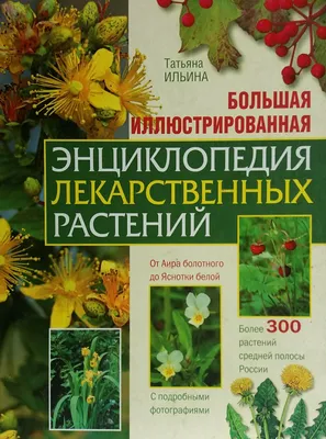 Живая коллекция лекарственных растений | Газета «Кижи» | Музей-заповедник  «Кижи»