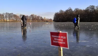 Восемь человек провалились под лед во Владивостоке - PrimaMedia