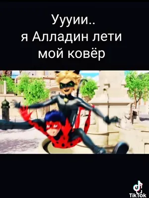 Hình ảnh của Miraculous LadyBug | Леди Баг и Супер-кот – Có 84,717 hình ảnh  | VKonta… | Miraculous ladybug memes, Miraculous ladybug anime, Miraculous  ladybug comic