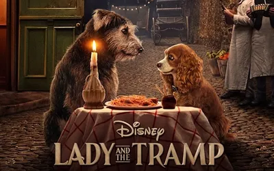 Скачать обои "Леди И Бродяга (Lady And The Tramp)" на телефон в высоком  качестве, вертикальные картинки "Леди И Бродяга (Lady And The Tramp)"  бесплатно