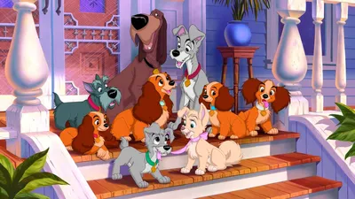 Картинки Disney Леди и бродяга Мультики