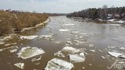 Ледоход на реке Ока у Рязани начнется с 26 марта - 