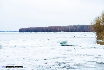 Ледоход на реке Оби достиг Колпашевского района. Фоторепортаж