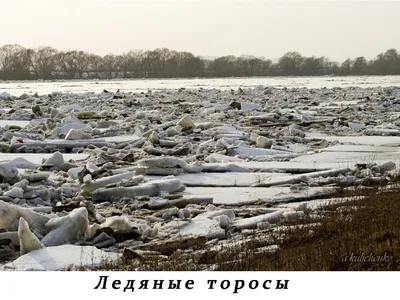 Нижняя кромка ледохода на реке Лене находится в 230 км до границы Якутии —  Улус Медиа