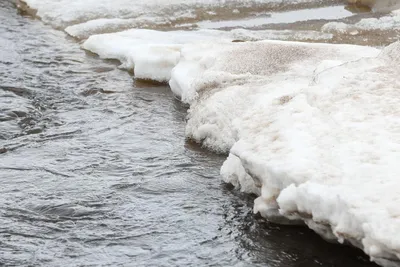 Основной ледоход на реке Печоре развивается в 426 километрах от Нарьян-Мара  » Новости Нарьян-Мара сегодня – Последние события в НАО – Информационное  агентство 