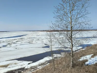 Под Воронежем сняли на видео ледоход на реке Дон – Новости Воронежа и  Воронежской области – Вести Воронеж